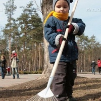 Весенний День благоустройства пройдет в Петербурге 23 апреля